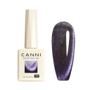 Gel Laccato Design 9 ml Magnetico UV/LED Lacca Occhio di Gatto Senza HEMA Composizione Ecologica Durata 3–4 Settimane 4