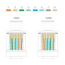 Gennemsigtige RJ45 stik CAT6 skærmede 100 stk 8P8C forgyldte 24AWG transparente ethernet kabelafslutninger til PC router 3
