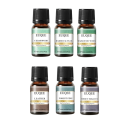 Geschenkset von ätherischen Ölen Grandpa Woodshop 6×10 ml ätherische Öle für Diffusoren Geschenkverpackung 165×72 mm Aromatherapie Haushalt 1