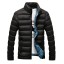 Gesteppte Winterjacke für Herren 1