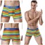 Gestreifte Herren-Boxershorts A2432 2