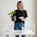 Ghivece pentru răsaduri 72 buc cu tăvițe și etichete, transparente, 4 dimensiuni 8–15,5 cm, plastic cu orificii de drenaj, pentru plante de interior 7