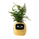 Ghiveci inteligent cu autoirigare și display, mai mult de 49 expresii și 7 senzori, 11,4 × 10 × 9,6 cm, cipuri AI, Wi-Fi, pentru plante 4