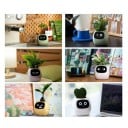 Ghiveci inteligent cu autoirigare și display, mai mult de 49 expresii și 7 senzori, 11,4 × 10 × 9,6 cm, cipuri AI, Wi-Fi, pentru plante 11