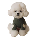 Giacca invernale per cani 2,5 - 4 kg Giacca calda per piccoli cani Cappottino riscaldante Protezione contro il freddo Abbigliamento 5