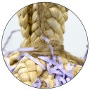 Giocattolo appeso in rattan per uccelli C781 3