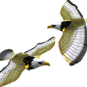 Giocattolo interattivo per gatti - Aquila in volo 3