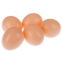 Giocattolo uovo 5 pz 5