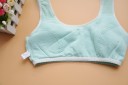 Girls' Bra with Buttons 11