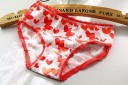 Girls' Cotton Panties - 10 Pieces 5