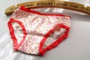 Girls' Cotton Panties - 10 Pieces 6