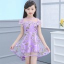 Girls' Dress N308 2