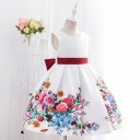 Girls' Dress N385 5
