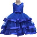 Girls' Dress N493 5