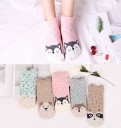 Girls' Socks with Ears - 5 Pairs 8