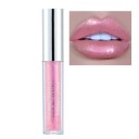 Glitrende, langvarig lipgloss, fugtgivende lipgloss, plejende og nærende lipgloss V221 4