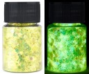 Glow Flakes for Epoxy Resin Pigments for Glow in the Dark Metallic Colours UV Effects Neon Colours for Fillings, Decorations 16