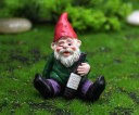 Gnome Figurine 6