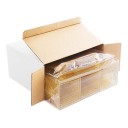 Gobelets en plastique pour desserts 50 pcs 4