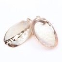 Gold-Plated Shells 2 pcs 1