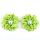 Gommes pour chiens avec fleur 2 pièces 10