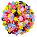 Gommes pour chiens avec perle 20 pcs 2