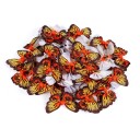 Gommini per cani con farfalla 12 pz 6