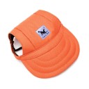 Gorra para perro 5