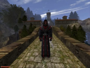 Gothic II: Gold Edition PC Steam účet 6
