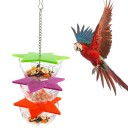 Gourde suspendue pour oiseaux C905 2