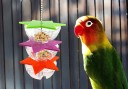 Gourde suspendue pour oiseaux C905 5