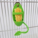 Gourde suspendue pour oiseaux 5