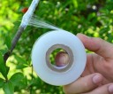 Grafting Tape H899 2