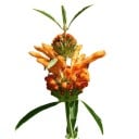 Graines de Leonotis Leonurus Oreille de Lion 10 pcs Fleurs Tubulaires Orange Plante Thermophile Pour Pot et Jardin d'Hiver Culture à Partir de Graines 1