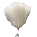 Grama de pampas artificial 42 cm 15 unid 11