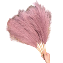 Grama de pampas artificial 70 cm 7