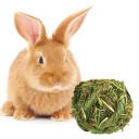 Grass Ball for Rodents C887 2