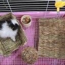 Grass Mat for Rodents 3
