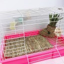 Grass Mat for Rodents 5
