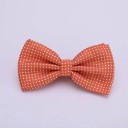 Gravata Borboleta Masculina T1300 7