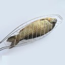 Griglia per pesce 2