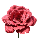 Große künstliche Pfingstrose realistischer Blütenstand 80 cm PE-Gewebe Dekoration für Vase, Tisch, Kommode, Regal und Innenräume 5