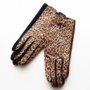 Guanti leopardati da donna 3