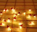 Guirlande lumineuse LED de Noël 3