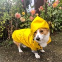 Gul jakke til hunde 3