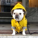 Gul jakke til hunde 4
