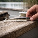 Gumové rybky paddle tail 10 ks 12 cm Mix 10 barev s třpytkami Měkký plast Na přívlač candáta a štiky ve sladké i slané vodě 4