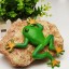 Gumowa żaba 3