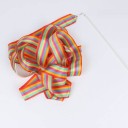 Gymnastic Ribbon on a Stick 2