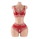 Γυναικεία δαντελένια σετ με λουλουδάτο σχέδιο ανοιχτό σουτιέν με ανοίγματα και φιόγκους και διαφανή εσώρουχα με ανοιχτό καβάλο 1